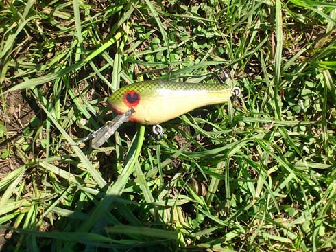 f:id:puchitenshi:20150915010831j:image f:id:puchitenshi:20150915010831j:image