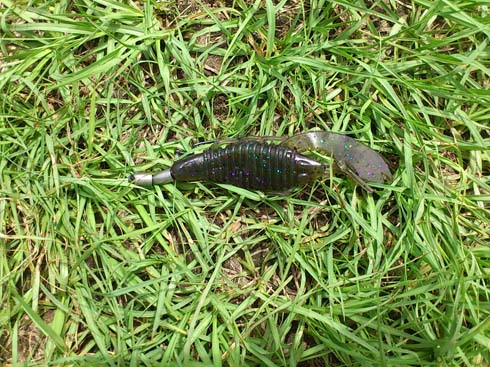 f:id:puchitenshi:20151001235536j:image