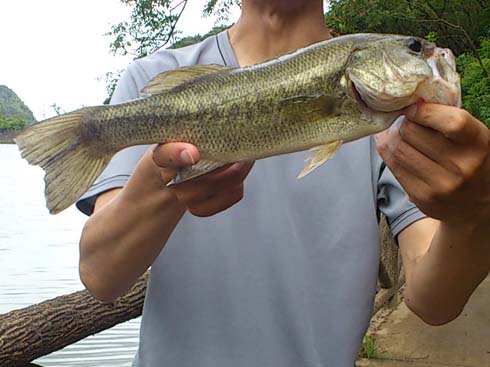 f:id:puchitenshi:20151008221411j:image