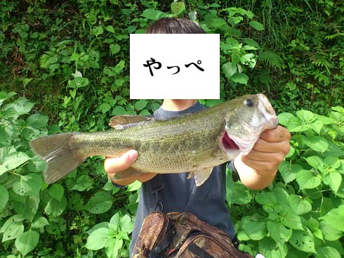 f:id:puchitenshi:20151008221814j:image