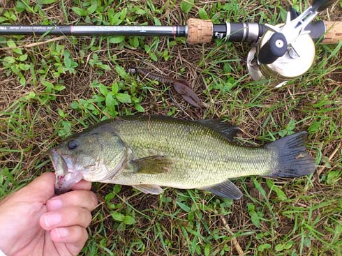 f:id:puchitenshi:20151012204213j:image