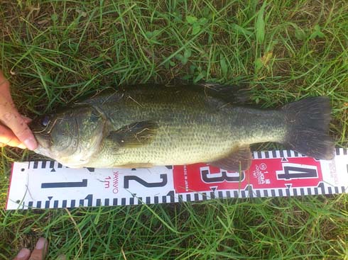 f:id:puchitenshi:20151023185257j:image