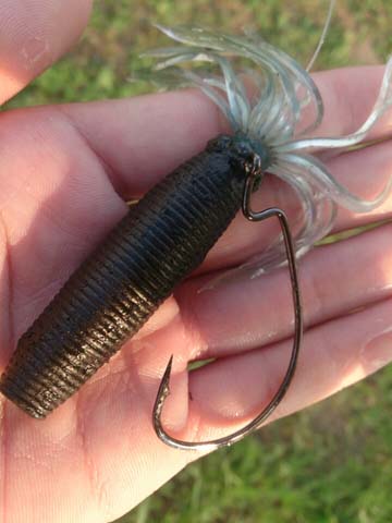 f:id:puchitenshi:20151023185309j:image