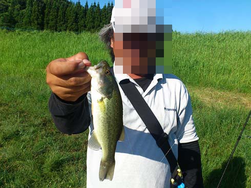 f:id:puchitenshi:20151023185407j:image