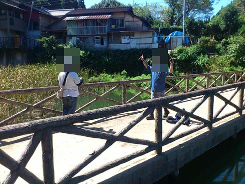 f:id:puchitenshi:20151023185429j:image