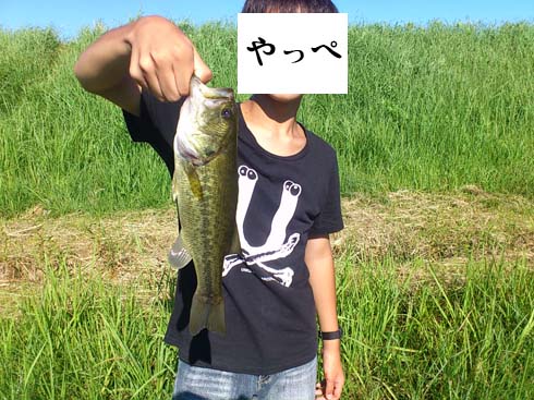 f:id:puchitenshi:20151023190131j:image