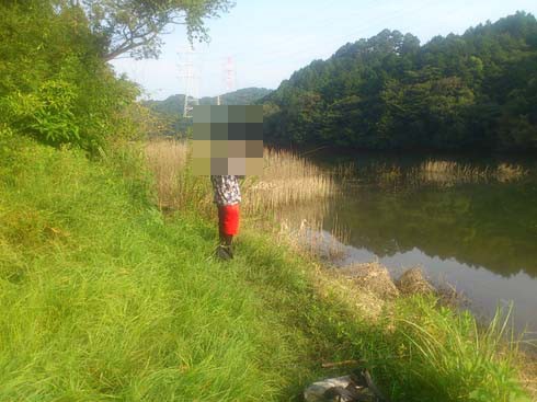 f:id:puchitenshi:20151027010644j:image