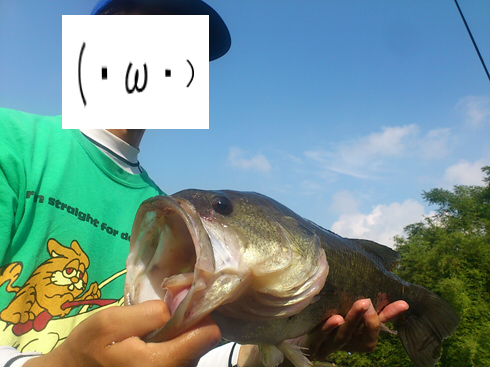 f:id:puchitenshi:20151027010811j:image