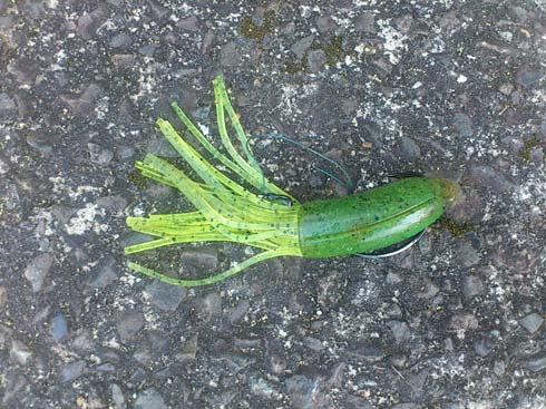 f:id:puchitenshi:20151027010834j:image