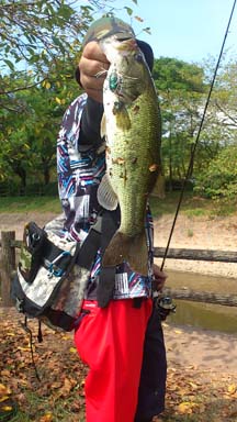 f:id:puchitenshi:20151027010904j:image