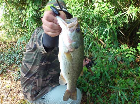 f:id:puchitenshi:20151105010033j:image f:id:puchitenshi:20151105010033j:image