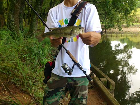 f:id:puchitenshi:20151106005459j:image f:id:puchitenshi:20151106005459j:image