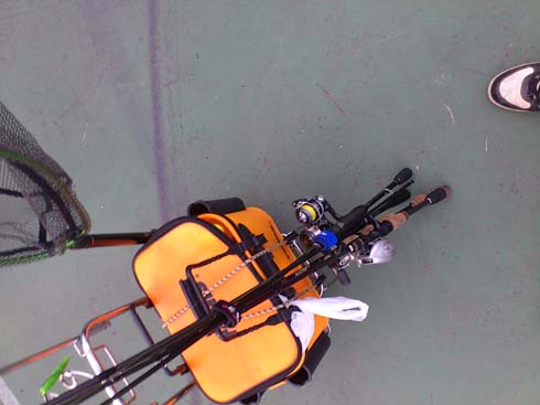 f:id:puchitenshi:20151216191531j:image