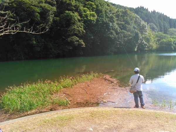 f:id:puchitenshi:20151216191946j:image