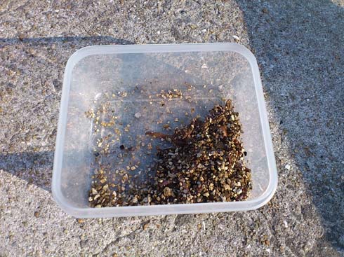 f:id:puchitenshi:20151229233810j:image