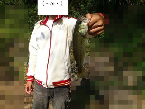 f:id:puchitenshi:20151229234002j:image