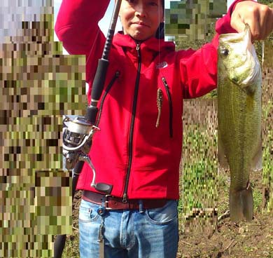 f:id:puchitenshi:20160104185239j:image