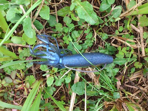 f:id:puchitenshi:20160107195928j:image