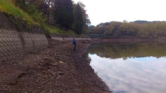 f:id:puchitenshi:20160110212309j:image