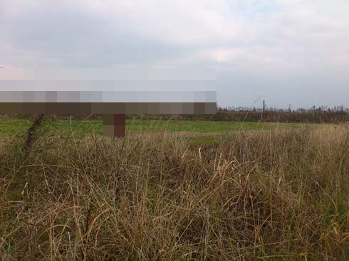 f:id:puchitenshi:20160115200552j:image