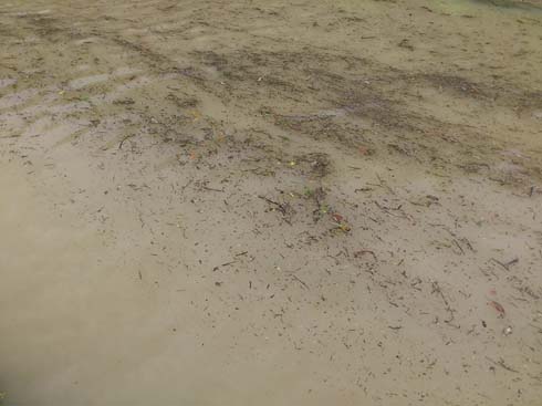 f:id:puchitenshi:20160530004349j:image f:id:puchitenshi:20160530004349j:image