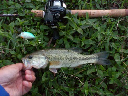 f:id:puchitenshi:20160530004544j:image f:id:puchitenshi:20160530004544j:image