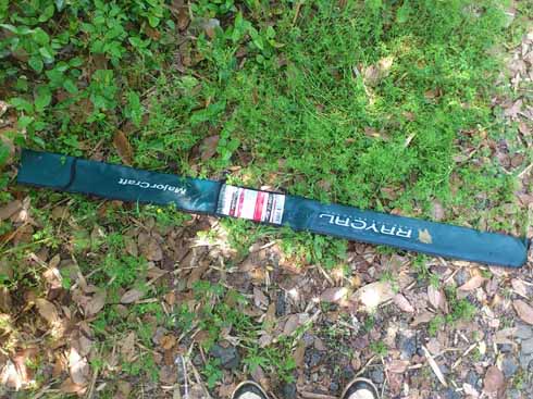 f:id:puchitenshi:20160608095735j:image f:id:puchitenshi:20160608095735j:image