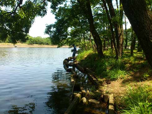 f:id:puchitenshi:20160612095259j:image f:id:puchitenshi:20160612095259j:image