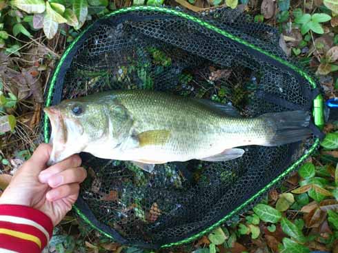 f:id:puchitenshi:20160623232105j:image f:id:puchitenshi:20160623232105j:image