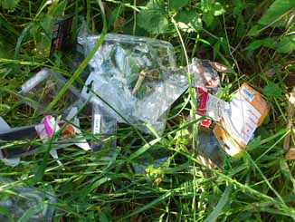 f:id:puchitenshi:20160623232204j:image f:id:puchitenshi:20160623232204j:image