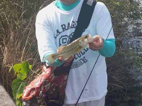 f:id:puchitenshi:20160713233711j:image