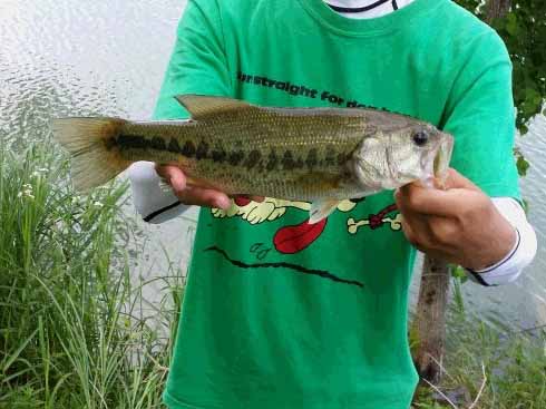 f:id:puchitenshi:20160719084402j:image f:id:puchitenshi:20160719084402j:image