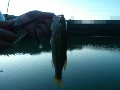 f:id:puchitenshi:20160719084604j:image f:id:puchitenshi:20160719084604j:image