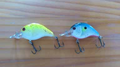 f:id:puchitenshi:20160801111920j:image