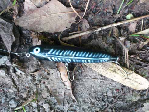 f:id:puchitenshi:20160804213512j:image