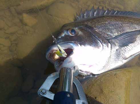 f:id:puchitenshi:20160808234148j:image f:id:puchitenshi:20160808234148j:image