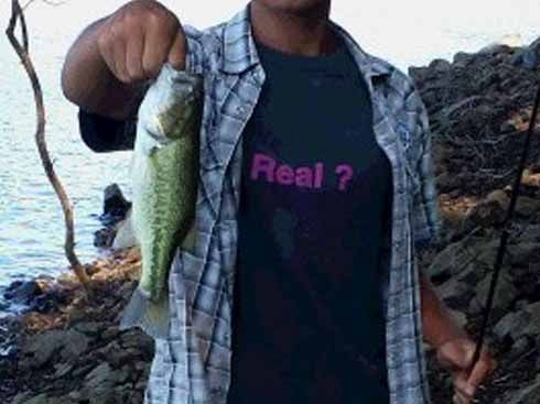 f:id:puchitenshi:20160818204442j:image