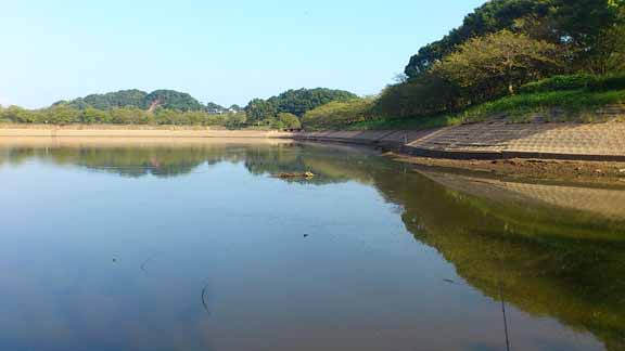 f:id:puchitenshi:20160828131233j:image f:id:puchitenshi:20160828131233j:image