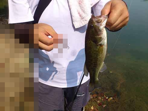 f:id:puchitenshi:20160830225130j:image f:id:puchitenshi:20160830225130j:image