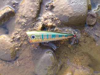 f:id:puchitenshi:20160830225539j:image f:id:puchitenshi:20160830225539j:image