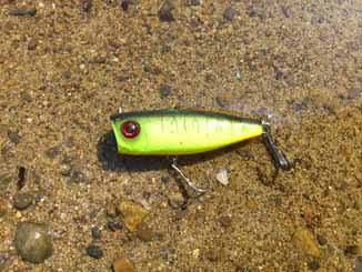 f:id:puchitenshi:20160907005025j:image f:id:puchitenshi:20160907005025j:image