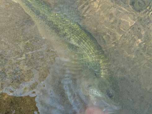 f:id:puchitenshi:20160907005128j:image f:id:puchitenshi:20160907005128j:image