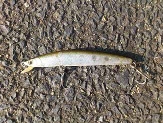 f:id:puchitenshi:20160907005346j:image f:id:puchitenshi:20160907005346j:image