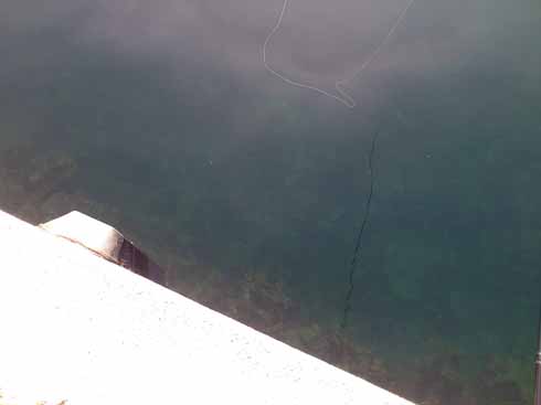 f:id:puchitenshi:20160929032207j:image