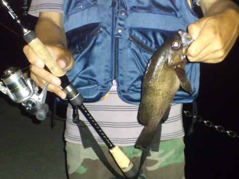 f:id:puchitenshi:20160929032336j:image