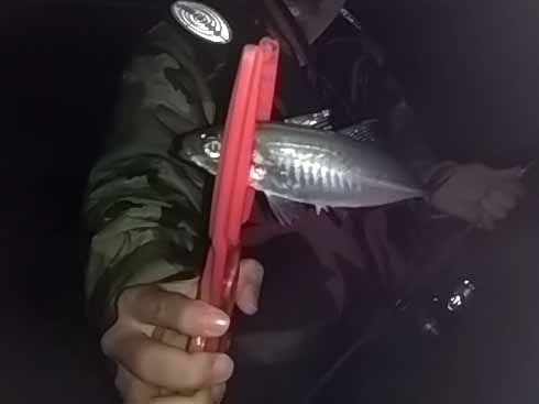 f:id:puchitenshi:20170105102513j:image f:id:puchitenshi:20170105102513j:image