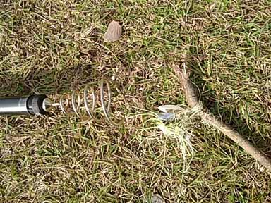 f:id:puchitenshi:20170109125203j:image