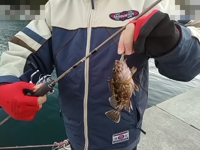 f:id:puchitenshi:20170111102309j:image f:id:puchitenshi:20170111102309j:image