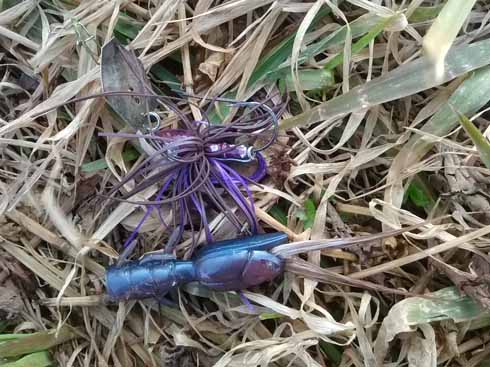 f:id:puchitenshi:20170131121835j:image f:id:puchitenshi:20170131121835j:image