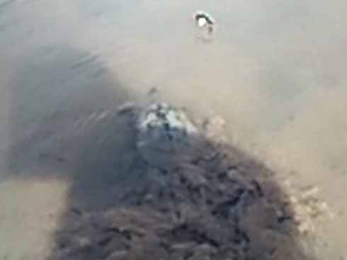 f:id:puchitenshi:20170312123658j:image f:id:puchitenshi:20170312123658j:image